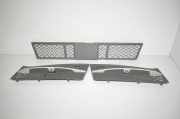 Gitter vorne unten BMW 5 Touring (F11) 530 d xDrive 7200700 7285959