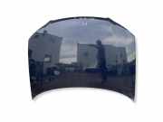 Motorhaube AUDI A3 (8P1) 2.0 TDI 16V quattro