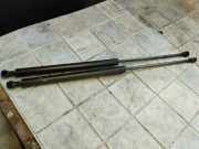 Heckklappendämpfer links Peugeot 206 SW (2E/K) 9631441380