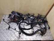 Motor Kabelbaum AUDI A4 (8K2, B8) 2.0 TDI 8K2971072QL