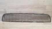 Gitter vorne unten TOYOTA YARIS (_P9_) 1.4 D-4D (NLP90_) 531120D050
