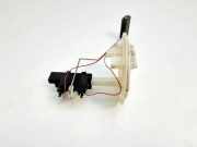 Kraftstoffstandsensor