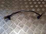 Wellenpositionssensor
 TOYOTA RAV 4 II (_A2_) 2.0 D-4D 4WD (CLA20_, CLA21_) 9091905047