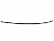 Dachleiste links FORD C-MAX II (DXA/CB7, DXA/CEU) 1.6 TDCi AM51R50463