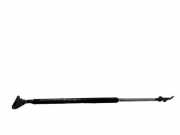 Heckklappe Gasdruckfeder rechts TOYOTA PICNIC (_XM1_) 2.2 D (CMX10_) 6896044010