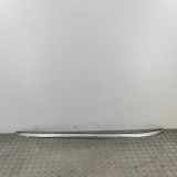 Dachreling links BMW X3 (F25) 7230207