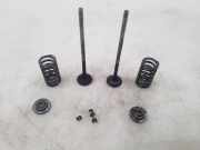 Auslassventil Opel Insignia A (G09)