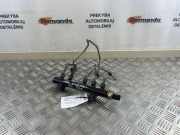 Einspritzleiste Ford EcoSport () 9685297580