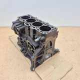 Motorblock AUDI A6 Avant (4F5, C6) 2.0 TDI V400