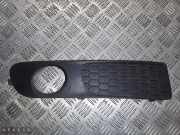 Lüftungsgitter für Stoßfänger Volvo S80 II (124) 30744115