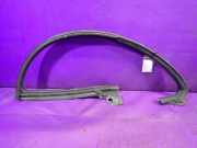 Türgummi links vorne VW Passat B6 CC (357)