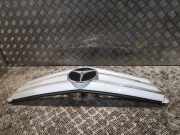 Ziergitter Mercedes-Benz C-Klasse (W204) 2048801923