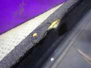 Hutablage Toyota Yaris Verso (P2)