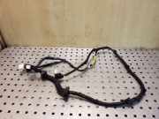 Kabel Tür Nissan X-Trail II (T31) 24126JH10A