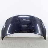 Motorhaube Peugeot 207 CC () 7901N2