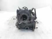 Zylinderkopf Opel Antara (L07) 96440132