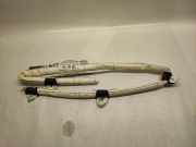 Airbag Dach links BMW 4er Gran Coupe (F36) 7221045