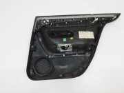 Türpolster hinten links