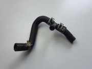 Andere Röhren TOYOTA C-HR (_X1_) 1.2 (NGX10_) 165A00Y010C