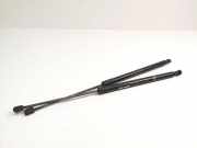 Heckklappe Gasdruckfeder links HONDA CR-V III (RE_) 2.2 i-DTEC 4WD (RE6) 74870T1GE110M1