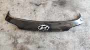 Heckklappenverkleidung HYUNDAI SANTA FÉ III (DM) 2.2 CRDi 4WD 873712W000