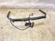 Anhängerkupplung Ford C-Max II (DXA) 307506600001