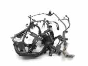 Kabelbaum Toyota C-HR (X1) 07693W