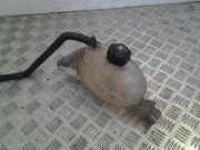 Ausgleichsbehälter RENAULT MASTER III Furgon (FV) 2.3 dCi 125 FWD (FV0C, FV0D) 217100015R