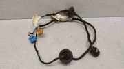 Türverkabelung hinten links VW POLO (AW1, BZ1, AE1) 1.0 MPi 6Q4971161A