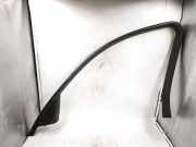 Fensterleiste Tür vorne rechts