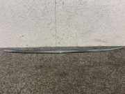 Dachleiste links BMW 3 (G20, G28) 3 (G20) 320 d 7427839