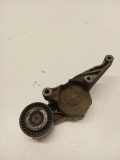 Riemenspanner VW TRANSPORTER V (T5) Flatbed 1.9 TDI 950371