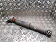 Stoßdämpfer hinten rechts VW GOLF V (1K1) 2.0 TDI 1k0513029