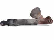 Stoßdämpfer links hinten Citroen C5 III (RD)