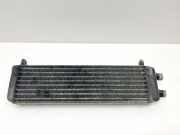 Kühler Mercedes-Benz SL (R129) A1295000400