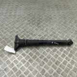 Stoßdämpfer hinten links CITROËN C4 X (BD_, BE_, BF_) ë-C4 X (BFZKXC) 9847556380