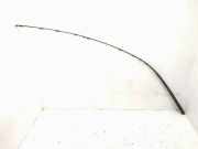 Dachleiste links MERCEDES-BENZ B (W245) B 180 CDI (245.207) A1696901730 1696901730