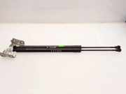 Heckklappe Gasdruckfeder rechts RENAULT MODUS / GRAND MODUS (F/JP0_) 1.2 (JP0C, JP0K, FP0C, FP0K, FP0P, JP0P, JP0T) 7000210519B0 8200665709