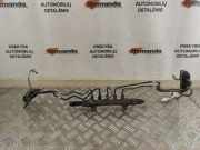 Einspritzleiste Subaru Outback III (BL)