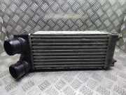 Ladeluftkühler PEUGEOT 308 (4A_, 4C_) 1.6 16V 992508x 9656503480