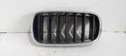 Kühlergrill oben BMW X5 (F15, F85) 7316075
