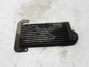 Kühler Renault Trafic III Kasten (FG) 175104049R