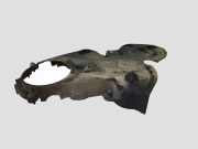 Timing Belt Protection Cover PEUGEOT 207 CC (WD_) 1.6 HDi 9643649280