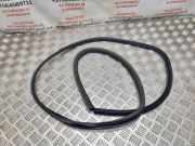 Türdichtung Audi A2 (8Z) 8Z0839393