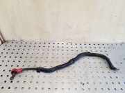 Kabelbaum Nissan Pathfinder III (R51)