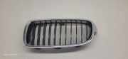 Vorderer oberer Gitter BMW 3 (G20, G28) 3 (G20) 320 d 19297610