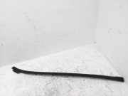 Windlauf BMW 4er Coupe (F32, F82) 7285927