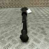 Stoßdämpfer hinten rechts MERCEDES-BENZ C Cabrio (A205) C 220 d (205.404) A2053203230