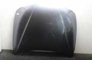 Motorhaube BMW 3 Touring (F31) 320 d