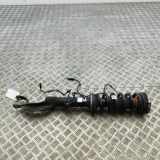 Stoßdämpfer vorne rechts